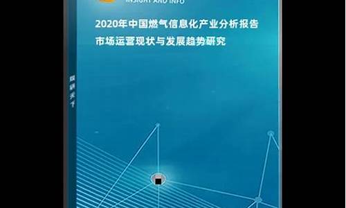 燃气信息港杂志_燃气信息化市场分析报告范文最新版