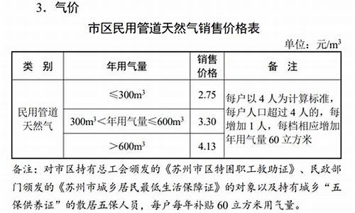 燃气价格调整风险评估报告怎么写最好_燃气