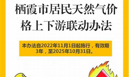 关于进一步规范天然气价格政策的通知_天然气价格调控办法