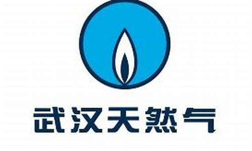 武汉市天然气价格要上涨了吗_武汉市天然气价格要上涨了吗现在