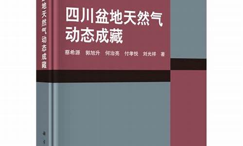 燃气分析_天然气动态分析课程总结报告怎么写比较好