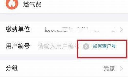 燃气信息查询怎么查询明细清单_燃气信息查询怎么查询明细清单表